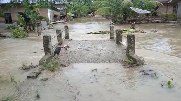 Banjir bandang melanda dua nagari di Sumbar. Akibatnya ratusan rumah terendam hingga jembatan putus (dok Istimewa)