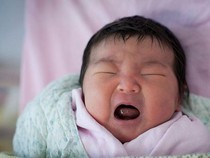 Membidik Dragon Baby Pembawa Hoki