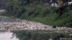 Jorok! Sampah Penuhi Sungai Cipamokolan Kota Bandung