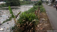 Selain itu, ada juga tempat penyimpanan barang bekas di tepi sungai sehingga membuat pemandangan jalan tersebut kumuh.