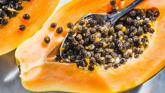 Biji Pepaya Punya Segudang Manfaat, Ini 5 Khasiatnya untuk Kesehatan