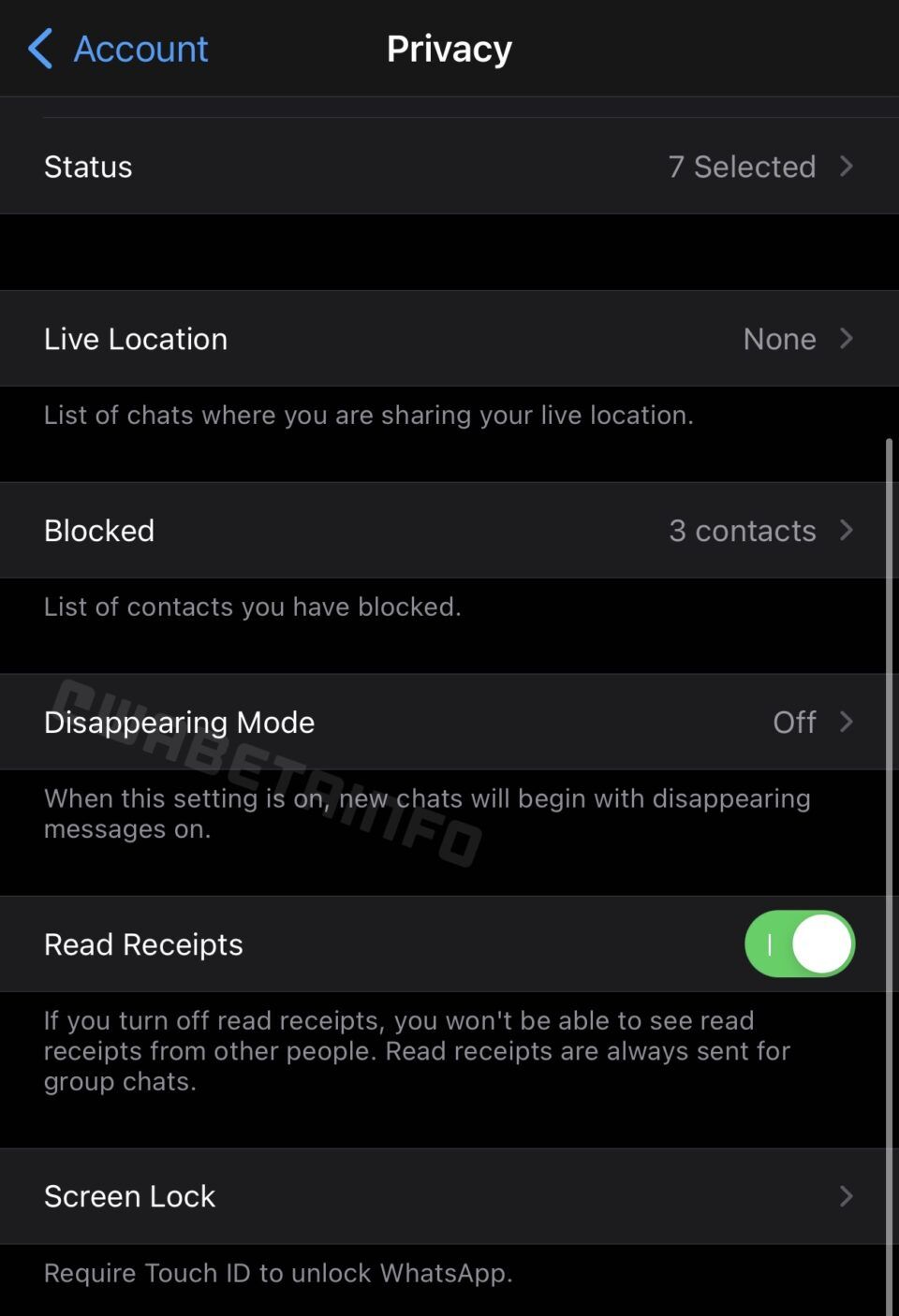mode disappearing whatsapp