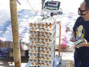 Riset BRI Sebut Bisnis UMKM Membaik di Triwulan I 2021, Ini Datanya