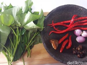 Glandir Merupakan Hasil Samping dari Tanaman Ubi Jalar, Ketahui Manfaatnya