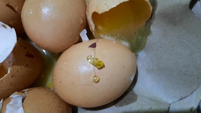 telur ayam diduga palsu ditemukan emak-emak di kediri