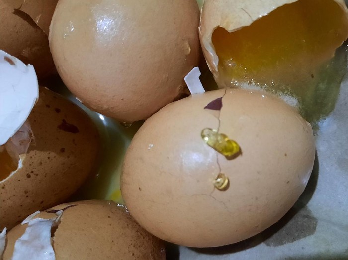 telur ayam diduga palsu ditemukan emak-emak di kediri