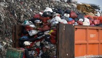 Saat truk sampah tiba, mereka akan langsung bekerja mencari sampah daur ulang.