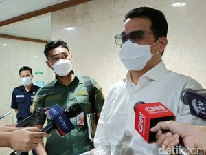 Wagub DKI: Tak Pernah Ada Larangan Beri Makan Kucing Liar