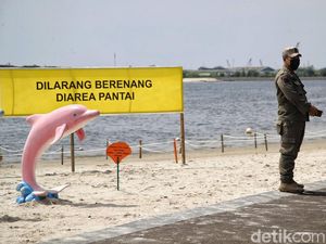 Teluk Jakarta Tercemar Paracetamol, Peneliti Singgung Risikonya pada Manusia