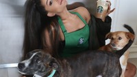 Ariana bahkan pernah berpenampilan seperti barista Starbucks. Lengkap dengan menggunakan celemek berwarna hijau yang khas. Foto: Instagram @Arianagrande