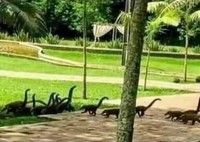Foto yang Dimabil pada Waktu Tepat Tapi Bikin Bingung