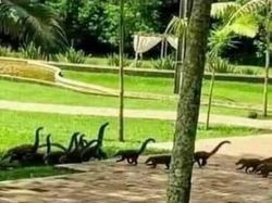 Foto yang Diambil di Saat Tepat Tapi Hasilnya Bikin Bingung