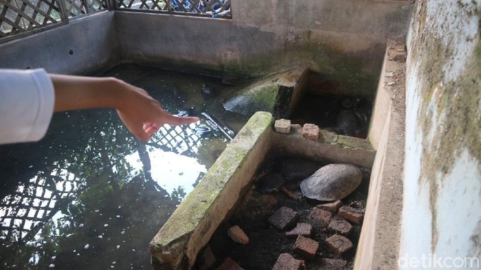 Kisah Sunan Muria di Balik Tradisi Bulusan di Kudus yang Digelar Tanpa Keramaian