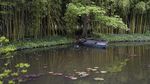 Bak Lukisan, Begini Pesona Kebun Claude Monet di Paris