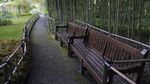 Bak Lukisan, Begini Pesona Kebun Claude Monet di Paris