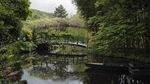 Bak Lukisan, Begini Pesona Kebun Claude Monet di Paris