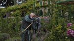 Bak Lukisan, Begini Pesona Kebun Claude Monet di Paris
