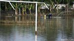 Potret Warga Bekasi Menjala Ikan di Lapangan yang Kebanjiran