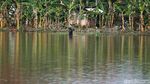 Potret Warga Bekasi Menjala Ikan di Lapangan yang Kebanjiran