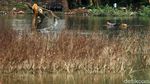 Potret Warga Bekasi Menjala Ikan di Lapangan yang Kebanjiran