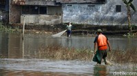 Sejumlah warga mencoba mendapatkan ikan di area yang sebelumnya digunakan untuk bermain sepakbola tersebut.