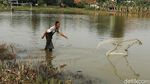 Potret Warga Bekasi Menjala Ikan di Lapangan yang Kebanjiran