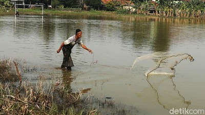 Potret Warga Bekasi Menjala Ikan di Lapangan yang Kebanjiran