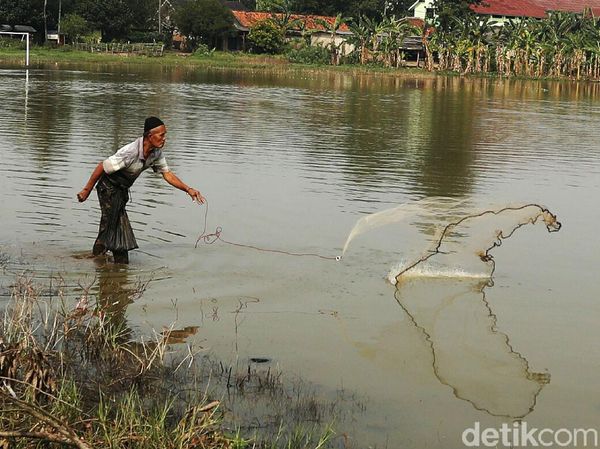 Potret Warga Bekasi Menjala Ikan di Lapangan yang Kebanjiran