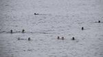 Momen Ribuan Migran Maroko Berenang ke Spanyol
