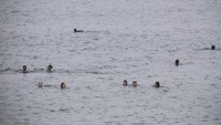 Setelah diperiksa oleh Palang Merah, migran ini dibawa ke resepsionis di pantai El Tarajal, sembari pihak berwenang mengadakan pertemuan untuk berdiskusi tentang bagaimana situasi tersebut harus ditangani mengingat tingginya angka kedatangan. AP Photo/Javier Fergo  