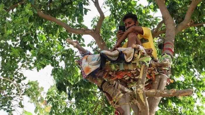Shiva Pria India isolasi diri di atas pohon.
