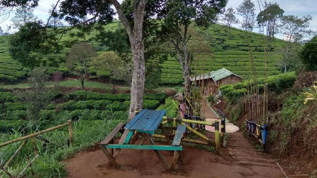 Sunrise Point Cukul β Destinasi Wisata Paling Eksotis Sejagad Bandung Sunrise Point Cukul β Destinasi Wisata Paling Eksotis Sejagad Bandung