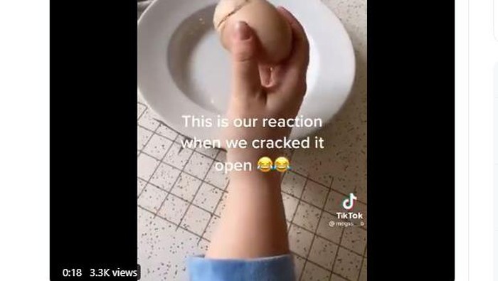 Kalau telur punya dua kuning telur sudah biasa, kalau video TikTok yang viral ini menunjukkan ada telur di dalam telur!

Keanehan ini pun membuat banyak netizen menuliskan komentar di video yang diunggah oleh @megs__b. Awalnya, wanita membagikan video seputar ayam dan telur ini memberi tahu bahwa ayamnya menelurkan sebutir telur seberat 150 gram. Tentunya dari beratnya saja sudah tidak biasa.