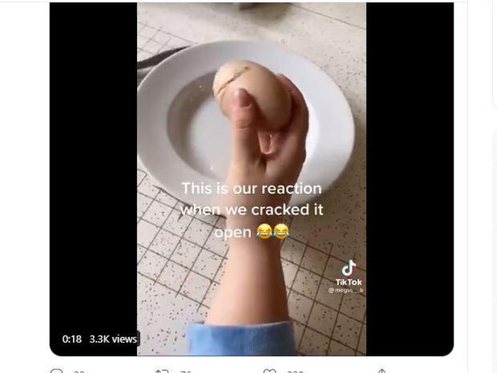Kalau telur punya dua kuning telur sudah biasa, kalau video TikTok yang viral ini menunjukkan ada telur di dalam telur!

Keanehan ini pun membuat banyak netizen menuliskan komentar di video yang diunggah oleh @megs__b. Awalnya, wanita membagikan video seputar ayam dan telur ini memberi tahu bahwa ayamnya menelurkan sebutir telur seberat 150 gram. Tentunya dari beratnya saja sudah tidak biasa.