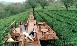 5 Destinasi yang Cantik di Malang Nih!