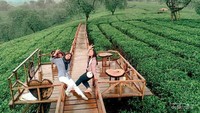 Agrowisata Kebun Teh Wonosari