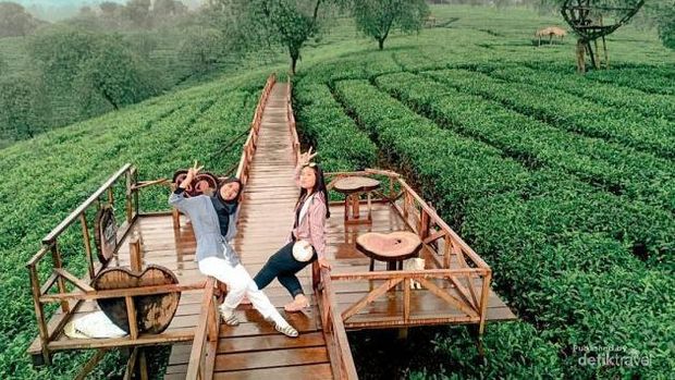 tidak perlu jauh datang keluar kota untuk bisa menuju puncak pegunungan. cukup ke Agrowisata Kebun Teh Wonosari