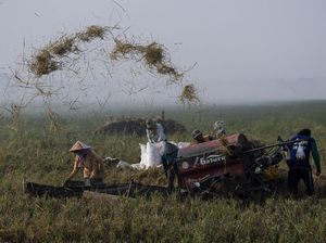 Bagaimana Peran Swasta Jaga Pasokan Pangan di Dalam Negeri?