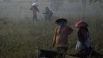 Indonesia Dijamin Tak Perlu Impor Beras