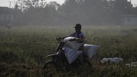 Bahkan, stok tersebut diyakini masih bakal bertambah dan bisa menjaga batas aman stok CBP sampai akhir tahun.  