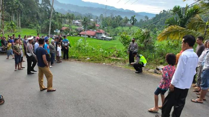 Bus masuk jurang di Pasaman, Sumatera Barat (Dok Satlantas Polres Pasaman)