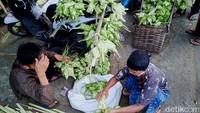 Pandemi COVID-19 ikut berdampak pada penjualan ketupat di Klaten, Jawa Tengah.