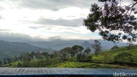 Dari lokasi parkir, pengunjung tinggal berjalan kaki kurang lebih 100 meter untuk sampai di pintu masuk Sunrise Point. 