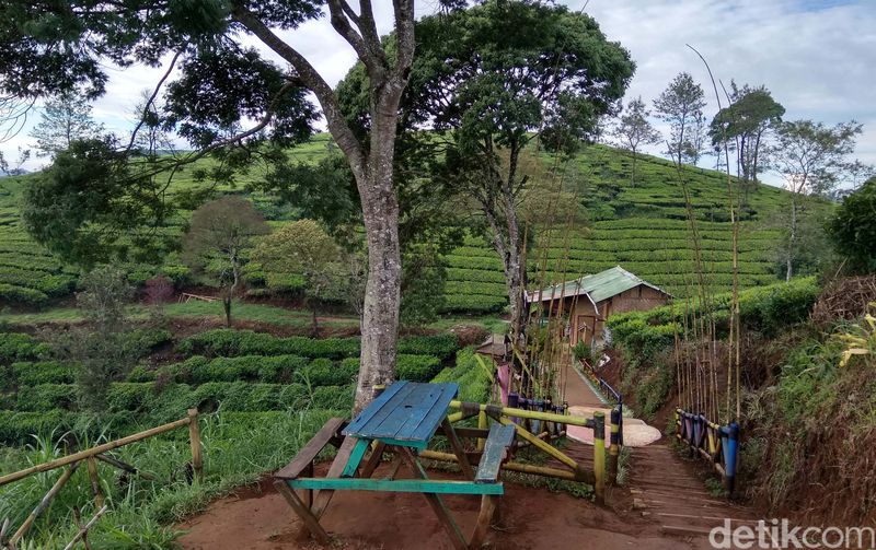 Sunrise Point Cukul adalah salah satu destinasi wisata terbaik yang ada di Kecamatan Pangalengan, Bandung, Jawa Barat. Traveler sudah pernah ke sana?