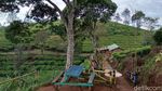 Ini Dia Spot Sunrise Paling Eksotis Sejagat Bandung