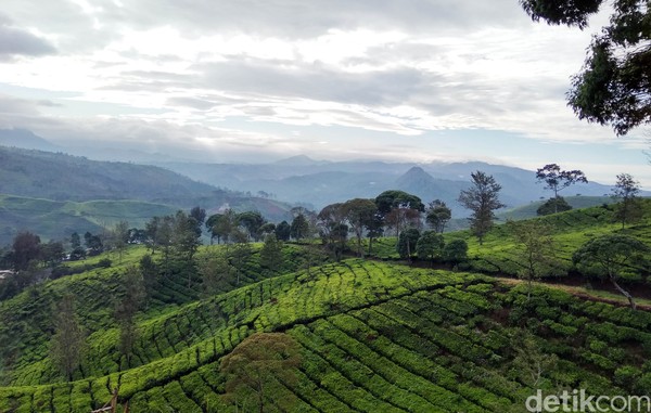 Satu hal yang perlu dipertimbangkan ketika akan berwisata ke Sunrise Point adalah prediksi cuaca. Sebelum datang berwisata, pastikan sudah mengetahui prediksi cuaca bahwa pada pagi hari H cerah. Satu hal yang perlu dipertimbangkan ketika akan berwisata ke Sunrise Point adalah prediksi cuaca. Sebelum datang berwisata, pastikan sudah mengetahui prediksi cuaca bahwa pada pagi hari H cerah.