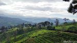 Ini Dia Spot Sunrise Paling Eksotis Sejagat Bandung