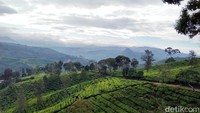 Satu hal yang perlu dipertimbangkan ketika akan berwisata ke Sunrise Point adalah prediksi cuaca. Sebelum datang berwisata, pastikan sudah mengetahui prediksi cuaca bahwa pada pagi hari H cerah.