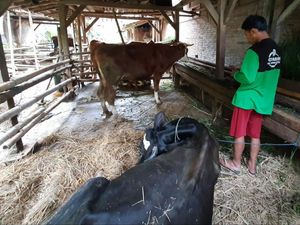 Heboh 8 Hewan Ternak di Tulungagung Mati Mendadak Diduga Karena Ilmu Hitam