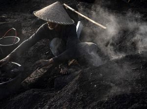 Dulang Cuan Dari Arang